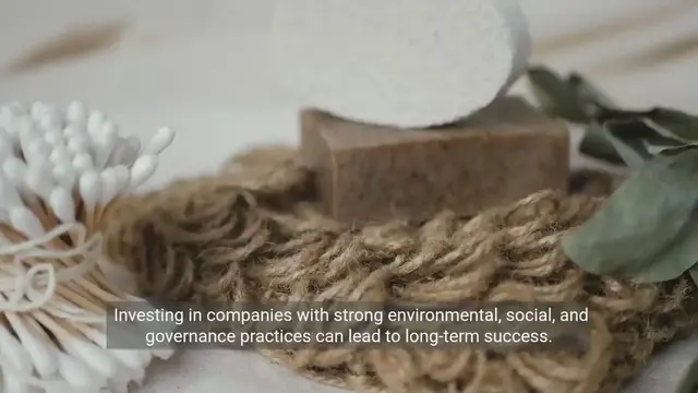 Video thumbnail for Smart and Sustainable Investing Habits