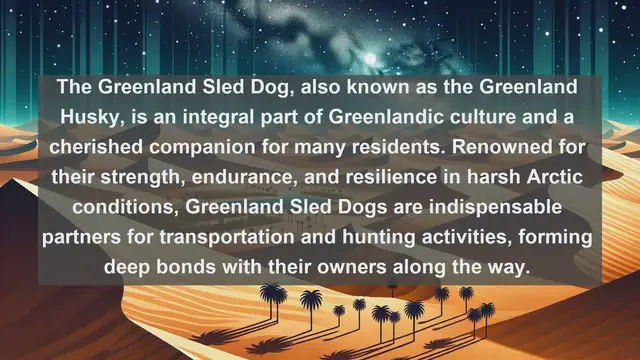 Video thumbnail for Exploring Greenland's Pet Culture: Top 10 Favorite Pets