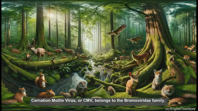 Video thumbnail for Carnation mottle virus in biology
