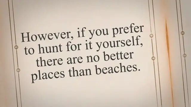 'Video thumbnail for Which Beaches Can You Find the Most Driftwood'