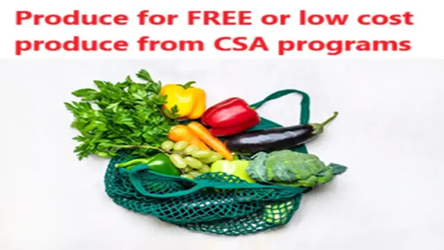 'Video thumbnail for How CSA Programs Benefit Low-Income Families'