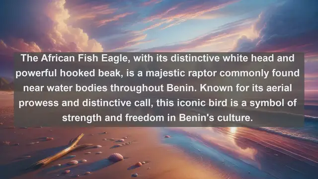 Video thumbnail for Discovering Benin's Avian Treasures: Top 10 Native Birds in Benin