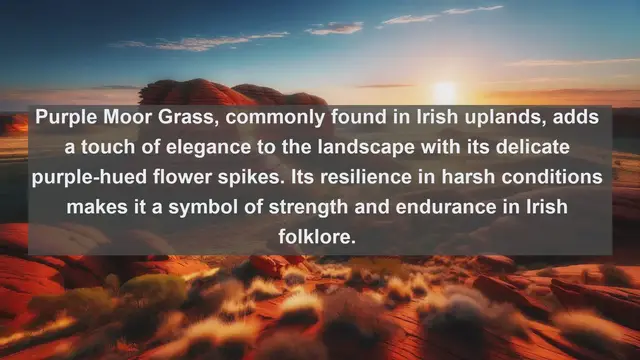 Video thumbnail for Exploring Ireland's Natural Treasures: Top 10 Native Plants Revealed!