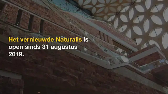 Video thumbnail for Het vernieuwde Naturalis: een geweldige museumervaring voor kids