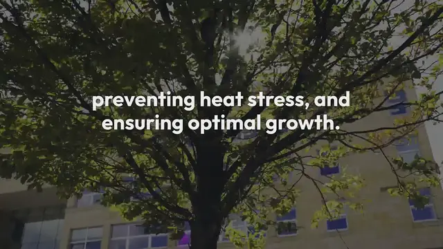 Video thumbnail for Protecting Gardens From Sun