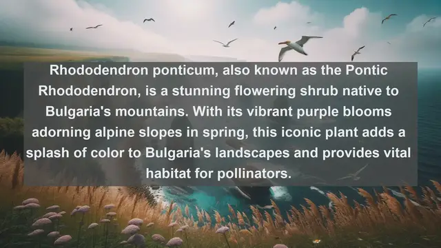 Video thumbnail for Exploring Bulgaria's Botanical Wonders: Top 10 Native Plants