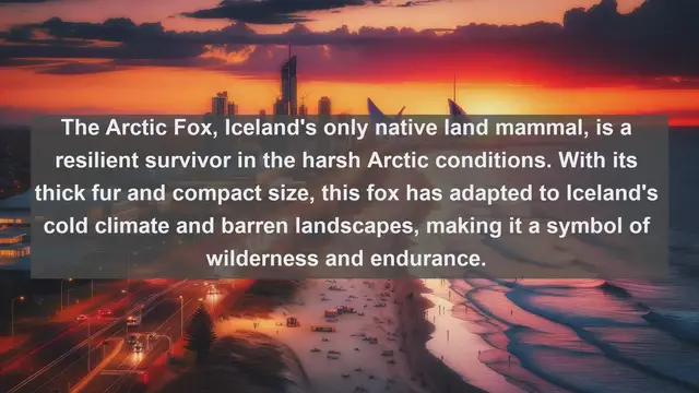 Video thumbnail for Unveiling Iceland's Wildlife Wonders: Top 10 Native Animals You Can't Miss