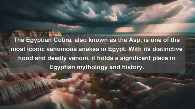 Video thumbnail for Discover Egypt's Wildlife Wonders: Top 10 Native Animals in Egypt