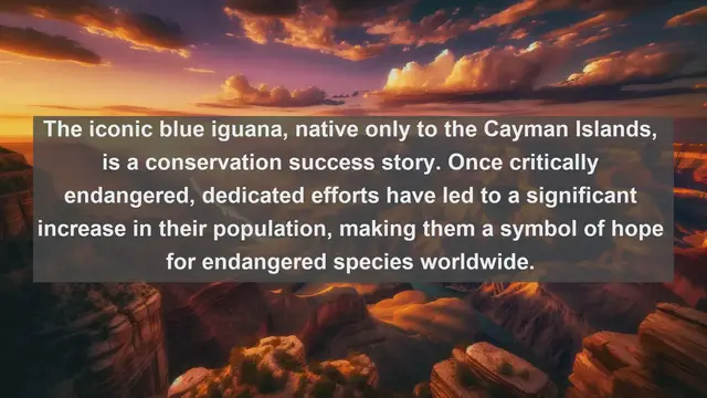 Video thumbnail for Discovering Cayman's Natural Treasures: Top 10 Native Fauna