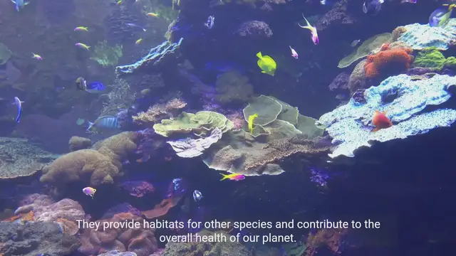 Video thumbnail for The Significance of Aquatic Wildlife