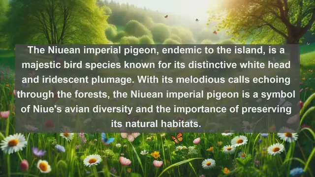 Video thumbnail for Discovering Niue's Natural Marvels: Top 10 Native Animals You Need to See!