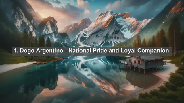 Video thumbnail for Pet Paradise in Argentina: Top 10 Beloved Pets Unveiled