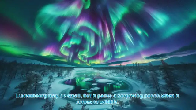 Video thumbnail for Exploring Luxembourg's Wildlife Wonders: Top 10 Destinations