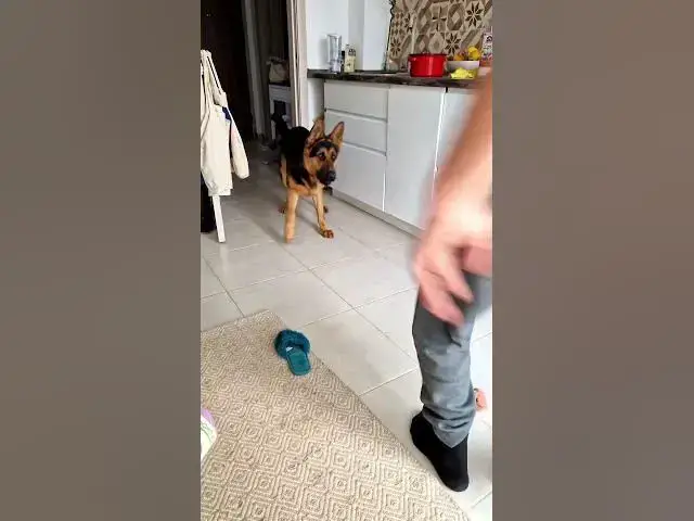 Video thumbnail for 👀