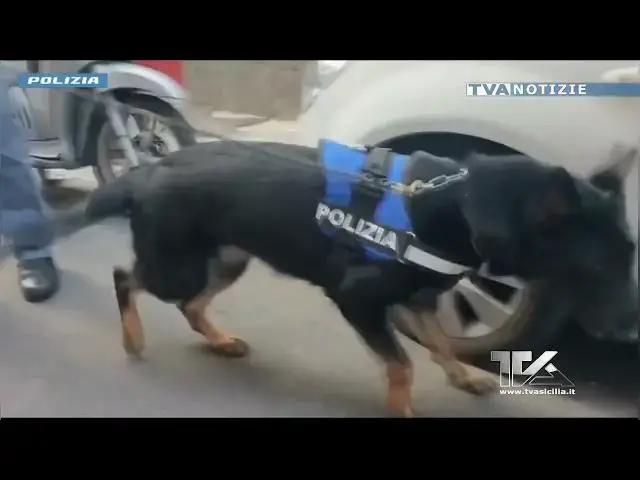'Video thumbnail for Catania. Maxi operazione della Polizia a San Cristoforo: sequestrati due immobili adibiti a piazze d'