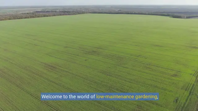 Video thumbnail for Effortless green: Mastering the Art of Low-Maintenance Gardening