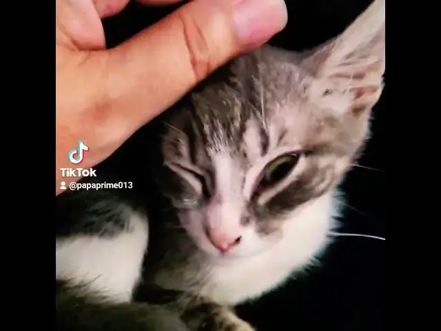 Video thumbnail for nap time