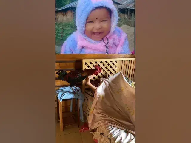 Video thumbnail for बस 5 मिनट और! 🤫💤 #Funny #RoosterAlarm