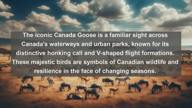 Video thumbnail for Wings Over Canada: Discover the Top 10 Native Birds in Canada