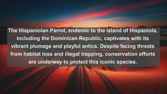 Video thumbnail for Exploring Dominican Wildlife: Top 10 Native Fauna of the Caribbean Paradise