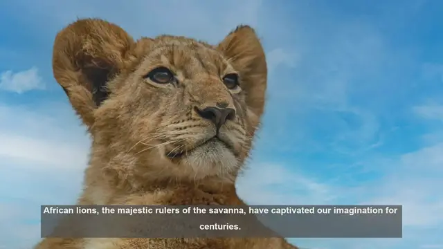 Video thumbnail for 10 Unique Traits of African Lions: Kings of the Savanna