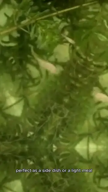 Video thumbnail for Parsley Salad Recipe