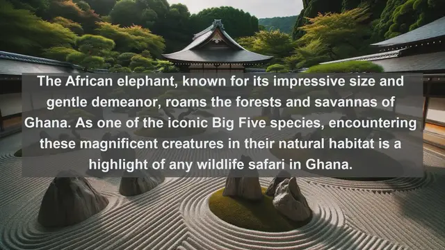Video thumbnail for Discover Ghana's Natural Wonders: Top 10 Native Animals in Ghana