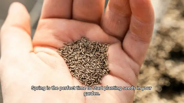 Video thumbnail for When To Start Planting Seeds?