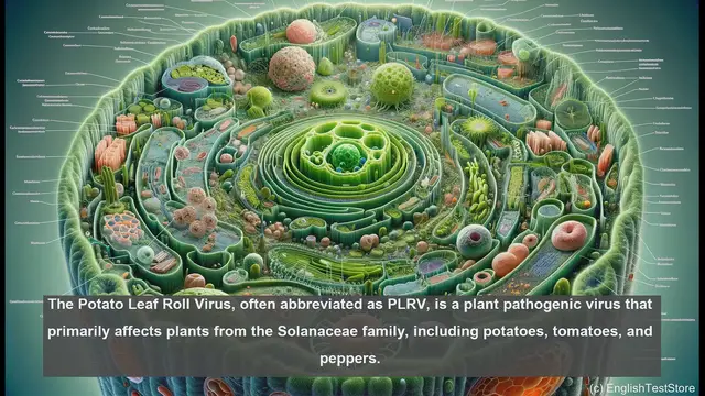 Video thumbnail for Potato leaf roll virus in biology