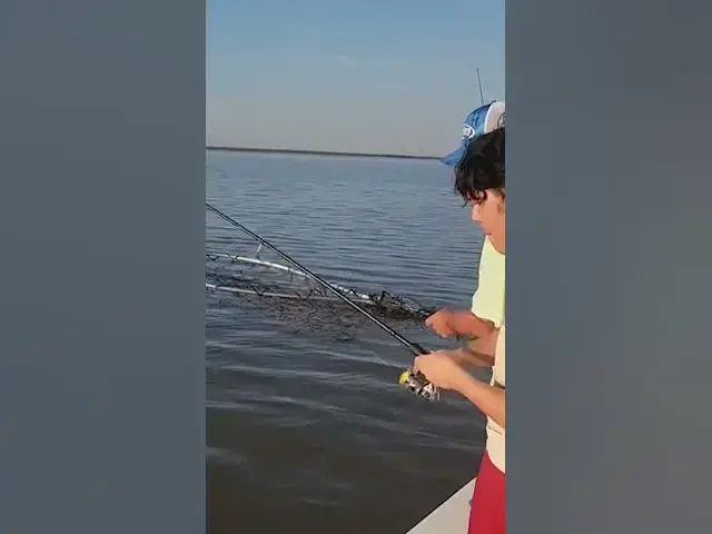 Video thumbnail for 🚨15 Year Old Lands GIANT Lake Record Catfish! 🤯