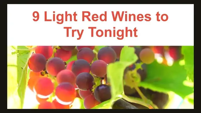 'Video thumbnail for 9 Light Red Wines | Quick Sip'