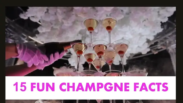 'Video thumbnail for 15 Fun Champagne Facts'