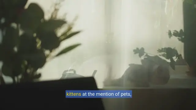 Video thumbnail for Turtle Companions: Unveiling the Joys & Considerations