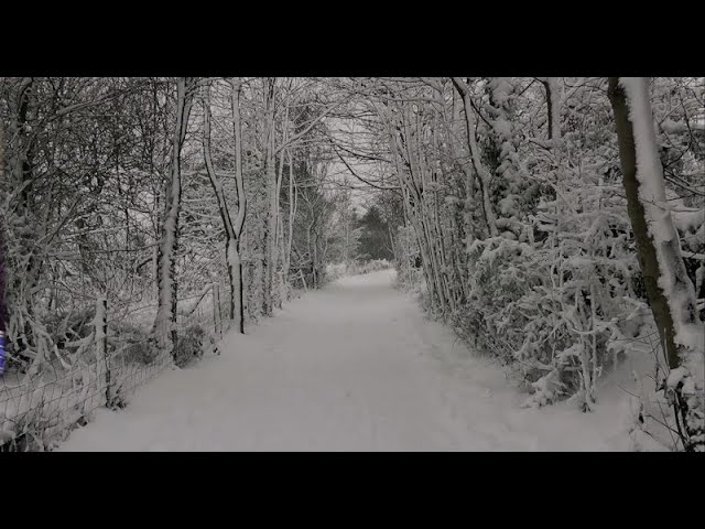 Video thumbnail for SNOWBALL