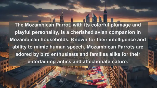 Video thumbnail for Exploring Mozambique's Most Beloved Companions: Top 10 Favorite Pets Unveiled