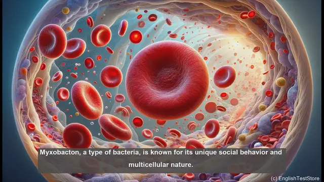 Video thumbnail for Myxobacton in biology