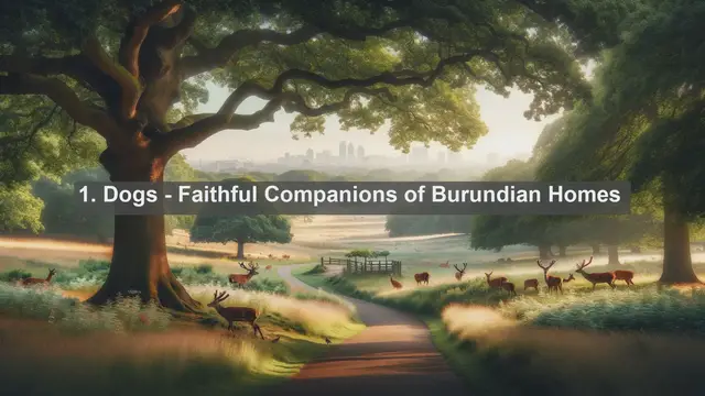 Video thumbnail for Meet Burundi's Top 10 Favorite Pets: Your Ultimate Guide to Furry Friends!