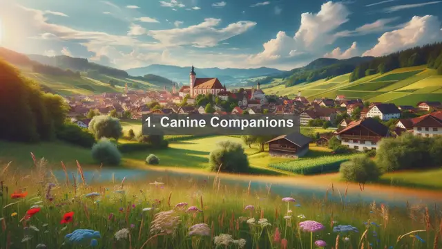 Video thumbnail for Island Pet Paradise: Top 10 Favorite Pets in Saint Helena, Ascension and Tristan da Cunha Revealed