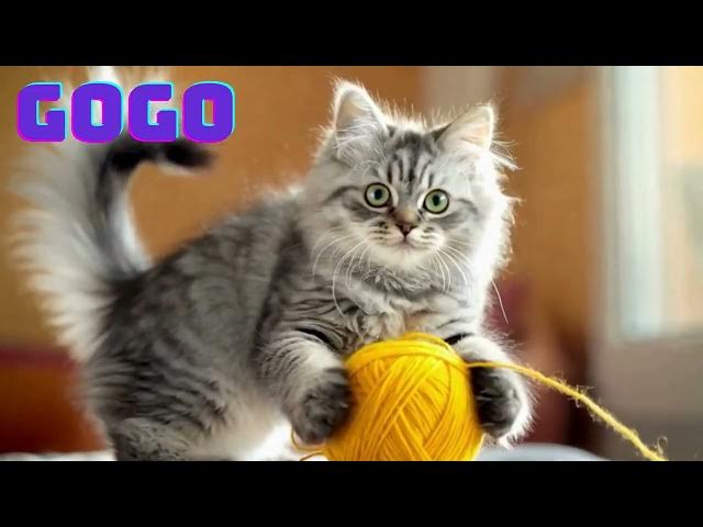 Video thumbnail for meow meow happy hour #cat #cute #meow #play#fun#kitten