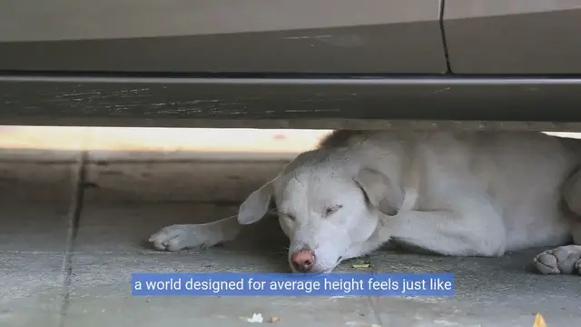 Video thumbnail for Top Small Cars for Tall Drivers: Headroom & Legroom Showdown