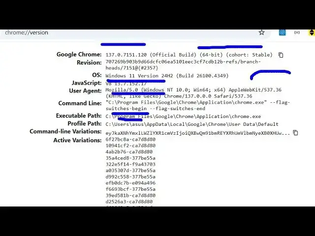 Video thumbnail for How to Find Your Chrome Browser Version,OS,User Agent & Executable Path Info