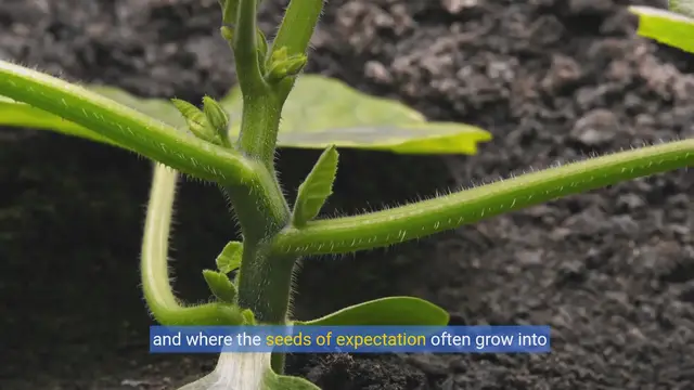 Video thumbnail for Collection of Garden Memes: Hilarious Content for Plant Enthusiasts