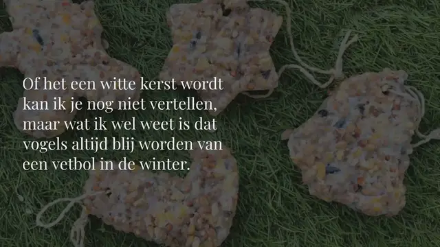 Video thumbnail for Kerst vetbollen maken doe je zo!
