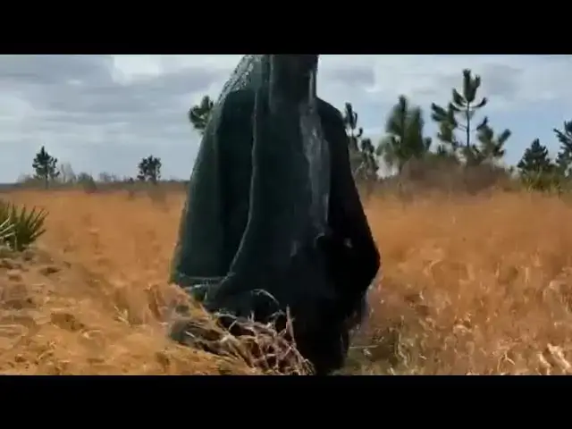 Video thumbnail for flights to orlando