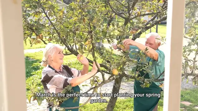 Video thumbnail for Gardening Tips For March