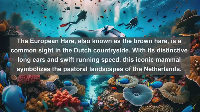 Video thumbnail for Exploring Dutch Wildlife: Top 10 Native Animals You Didn't Know Existed!