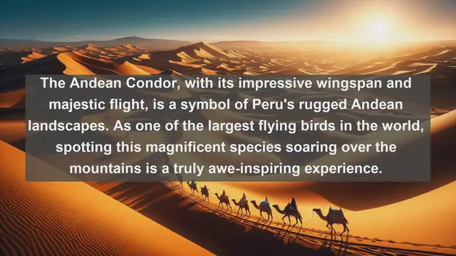 Video thumbnail for Discover Peru's Avian Treasures: Top 10 Native Birds You Must See