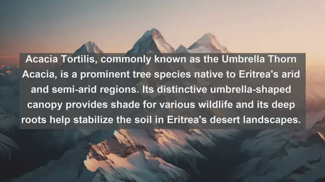 Video thumbnail for Exploring Eritrea's Natural Treasures: Top 10 Native Flora You Must See