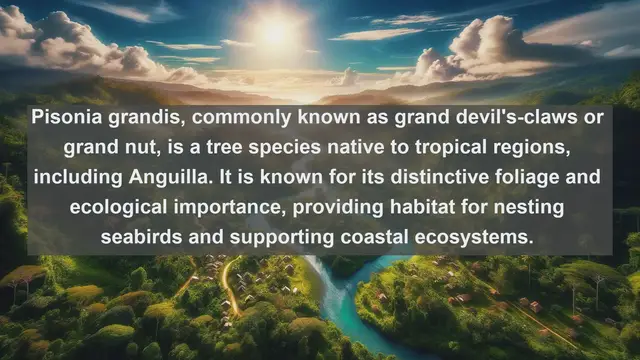 Video thumbnail for Exploring Anguilla's Botanical Gems: Top 10 Native Flora Species