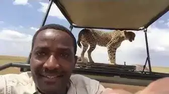 'Video thumbnail for Watch this amazing scene when Cheetah took a visit on tour van.'